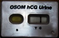 osom 002.jpg