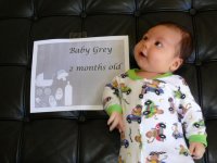 Baby Grey 2 Months1.jpg