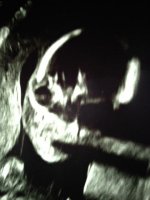 Baby Skeletor.jpg