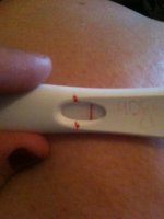 cd18.jpg