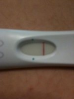 cd19.jpg