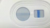 2013-02-13_09-49-22_351.jpg
