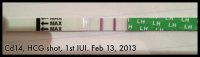 CD14.jpg