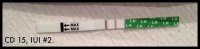 CD15.jpg