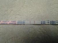 20130217_115248.jpg
