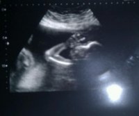 IMAG3450-1.jpg