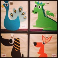 photo (13).jpg