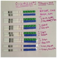 HCG @ 5dpo.jpg