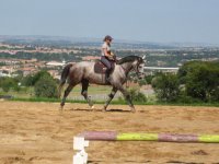 IMG_0990.jpg
