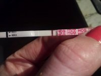 5dpo.jpg