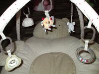 DSCF9018.jpg