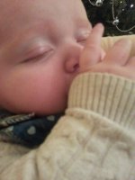 thumb.jpg