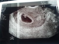 20130225_122503.jpg