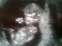 02102009823.jpg