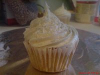 DSC01510.jpg