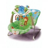 Fisher-Price-Baby-Bouncer.jpg