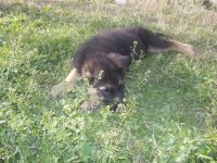 100_1627.jpg