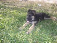 100_1626.jpg