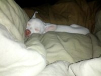IMG_20130224_112331.jpg
