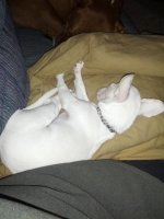 IMG_20130223_124453.jpg