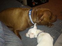 IMG_20130223_003954.jpg