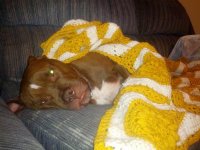 IMG_20121228_000858.jpg