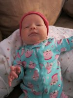 IMG_1202.jpg