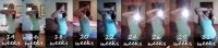 14-31weeks.jpg