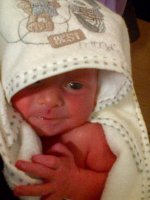 Beau's first bath.jpg