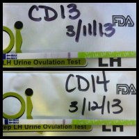 CD 13 AND 14.jpg