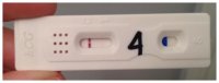 2nd Cycle, 4dpo.jpg