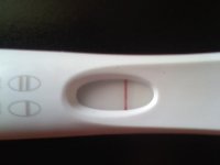 frer 8 min.jpg