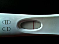 frer 8 min1.jpg