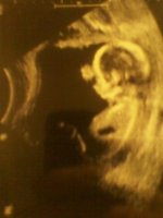 baby boy 31913.jpg