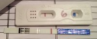 6dpo, March 20th.jpg