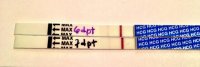 6dpo march 20 enhanced.jpg
