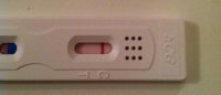 8dpo.jpg