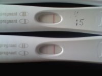 frer smu day 22.jpg