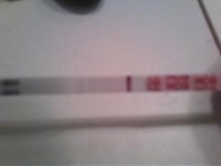 fmu10dpo-2.jpg