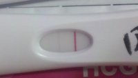12dpo.jpg