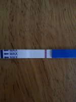 cheapietest10dpo.jpg