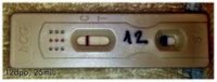 12dpo_dollarstore_tweaked.jpg