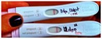 11_12dpo_FRER_tweaked.jpg