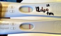 FRER 12dpo Progression.jpg