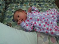 IMG_0136.jpg