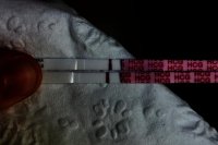 wondfos 006.jpg