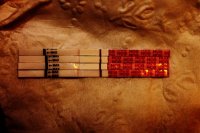 wondfos 023.jpg