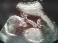 19w6d.jpg