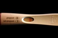frer 001.jpg