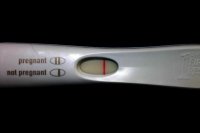 frer 002.jpg